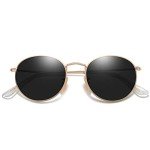 Classic Polarized Round Sunglasses for Men & Women