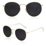 Classic Polarized Round Sunglasses for Men & Women