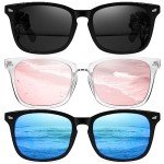 Classic Retro Polarized Sunglasses for Men and Women