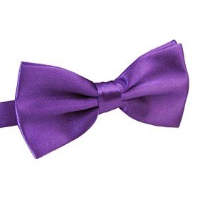 Men's Purple Pre-Tied Adjustable Bow Tie