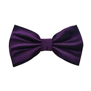 Dark Purple Pre-Tied Formal Bowtie for Men
