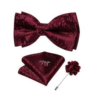 DiBanGu Burgundy Bow Tie Set with Accessories