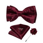 DiBanGu Burgundy Bow Tie Set with Accessories
