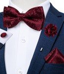 DiBanGu Burgundy Bow Tie Set with Accessories