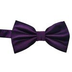 Dark Purple Pre-Tied Formal Bowtie for Men
