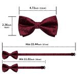 DiBanGu Burgundy Bow Tie Set with Accessories