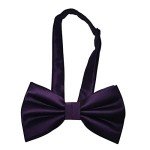 Dark Purple Pre-Tied Formal Bowtie for Men