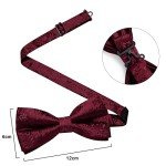 DiBanGu Burgundy Bow Tie Set with Accessories