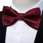 DiBanGu Burgundy Bow Tie Set with Accessories