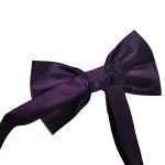 Dark Purple Pre-Tied Formal Bowtie for Men