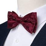 DiBanGu Burgundy Bow Tie Set with Accessories