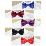 Men's Multicolor Pre-Tied Bow Tie Set