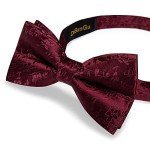 DiBanGu Burgundy Bow Tie Set with Accessories