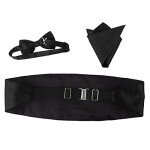 3-Piece Men's Bow Tie and Cummerbund Set