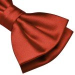 Burnt Orange Bow Tie and Pocket Square Set