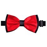Red Adjustable Pre-Tied Bowtie for Men
