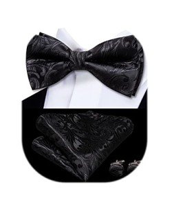 Dubulle Men's Paisley Bow Tie and Cufflink Set