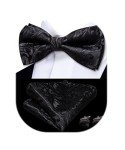 Dubulle Men's Paisley Bow Tie and Cufflink Set