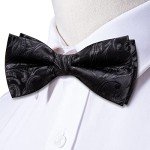 Dubulle Men's Paisley Bow Tie and Cufflink Set