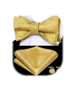 Dubulle Men's Paisley Bowtie and Pocket Square Set
