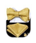 Dubulle Men's Paisley Bowtie and Pocket Square Set