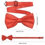 Men's Classic Pre-Tied Bow Tie Set - Black & Red