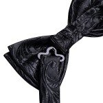 Dubulle Men's Paisley Bow Tie and Cufflink Set