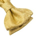 Dubulle Men's Paisley Bowtie and Pocket Square Set