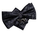 Dubulle Men's Paisley Bow Tie and Cufflink Set