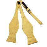 Dubulle Men's Paisley Bowtie and Pocket Square Set