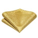 Dubulle Men's Paisley Bowtie and Pocket Square Set