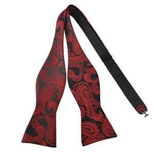 Men's Classic Paisley Silk Bow Tie - Black & Red