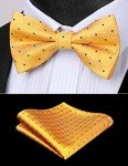 Yellow and Black Polka Dot Bow Tie Set