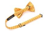 Yellow and Black Polka Dot Bow Tie Set
