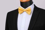 Yellow and Black Polka Dot Bow Tie Set