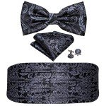 Men's Silk Paisley Cummerbund Bow Tie Set