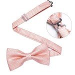 Men's Pink Suspender and Bow Tie Set