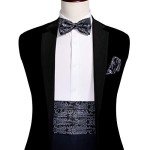 Men's Silk Paisley Cummerbund Bow Tie Set