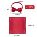 24-Pc Bow Tie and Pocket Square Set for Men