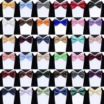 GUSLESON Adjustable Dark Brown Paisley Bow Tie