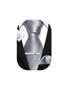 Barry.Wang Men's Silver Silk Tie and Accessory Set