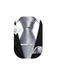 Barry.Wang Men's Silver Silk Tie and Accessory Set