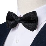 DiBanGu Men's Silk Bow Tie Set - Black Paisley