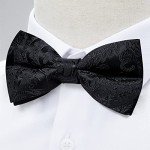 DiBanGu Men's Silk Bow Tie Set - Black Paisley