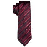 Barry.Wang Burgundy Stripe Silk Tie and Accessories Set