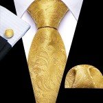 Barry.Wang Men's Paisley Tie Set in Gold