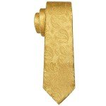 Barry.Wang Men's Paisley Tie Set in Gold