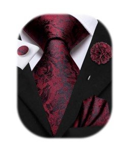 Men's Paisley Tie and Lapel Pin Set