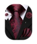 Men's Paisley Tie and Lapel Pin Set