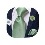 Men's Sage Green Tie and Lapel Pin Set